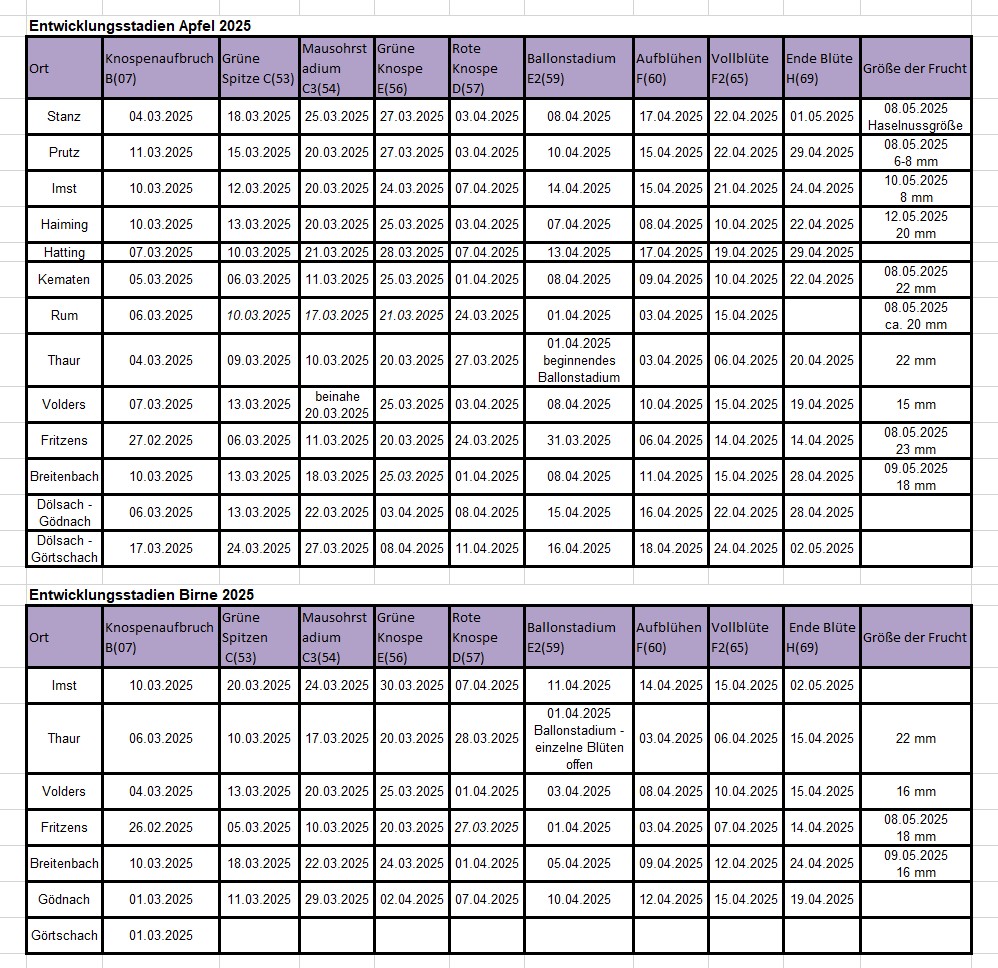2025 Entwicklungsstadien.jpg
